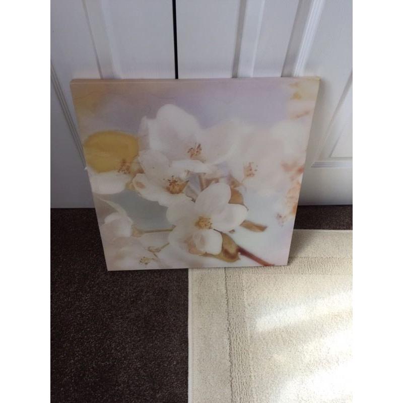 Beautiful Next Floral Canvas