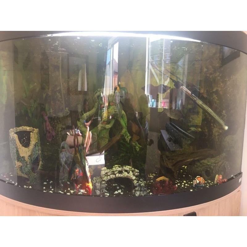 Fluval 190 litre corner tank **COMPLETE SET UP**