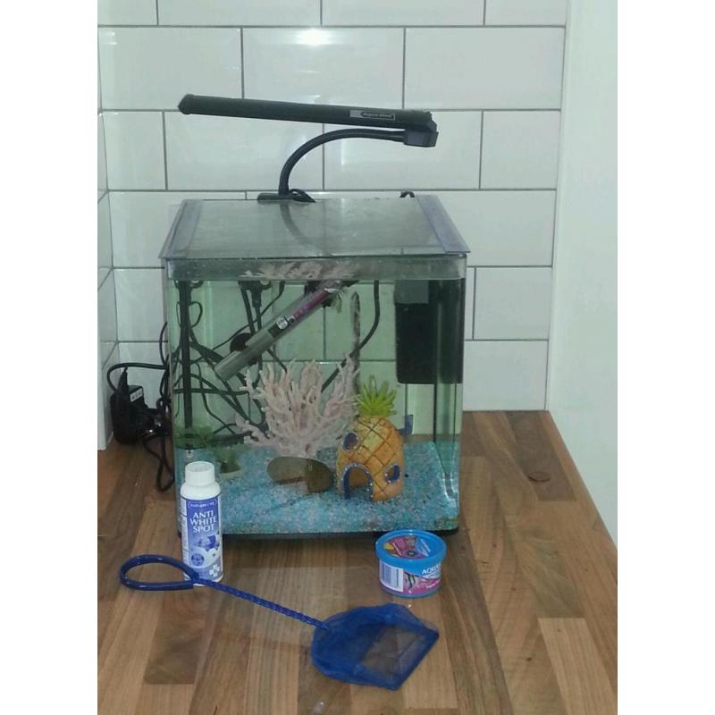 Fish tank and accessories