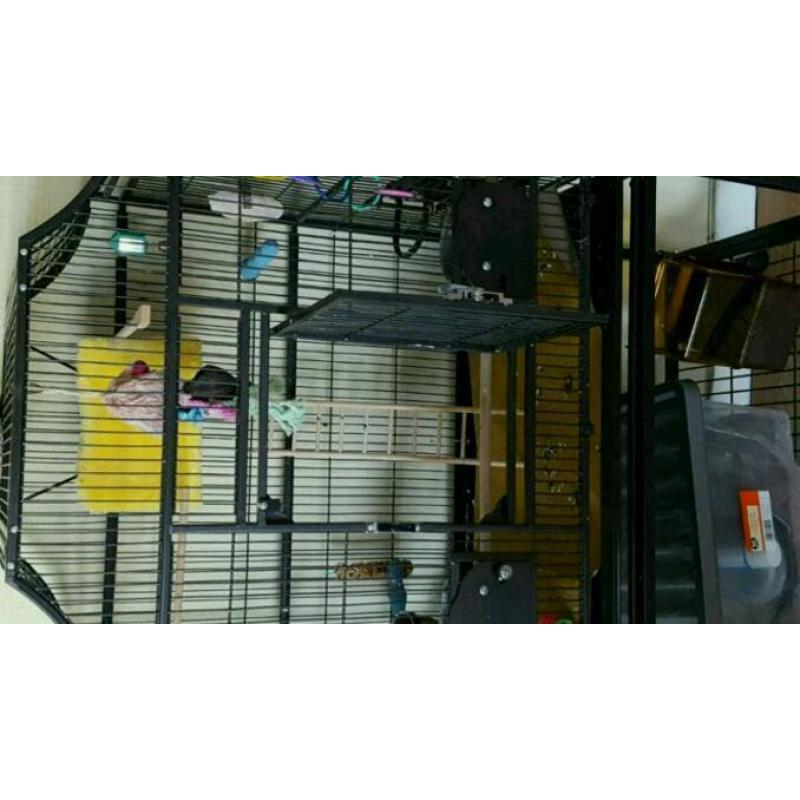 Parrot cage for sale comes with stand