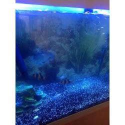 180 litre fish tank with accessories