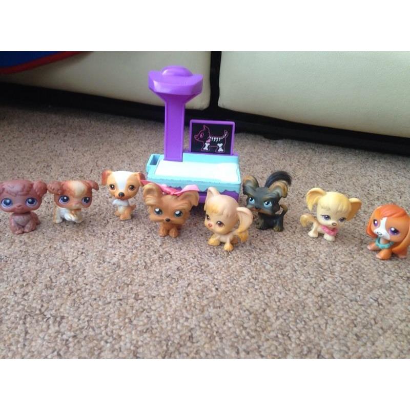 Littlest pet shop dogs