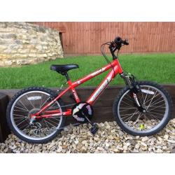 Boy's Freespirit 20 Inch Wheel Bike