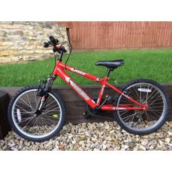 Boy's Freespirit 20 Inch Wheel Bike