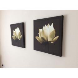 2 canvas pictures for sale