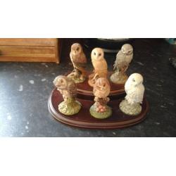 For sale we have a set of 6 smaal owls on stand they are royal doulton in excellent condition