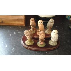 For sale we have a set of 6 smaal owls on stand they are royal doulton in excellent condition