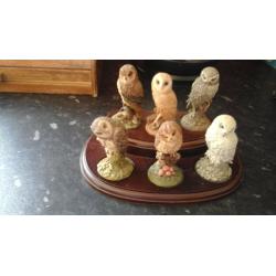 For sale we have a set of 6 smaal owls on stand they are royal doulton in excellent condition