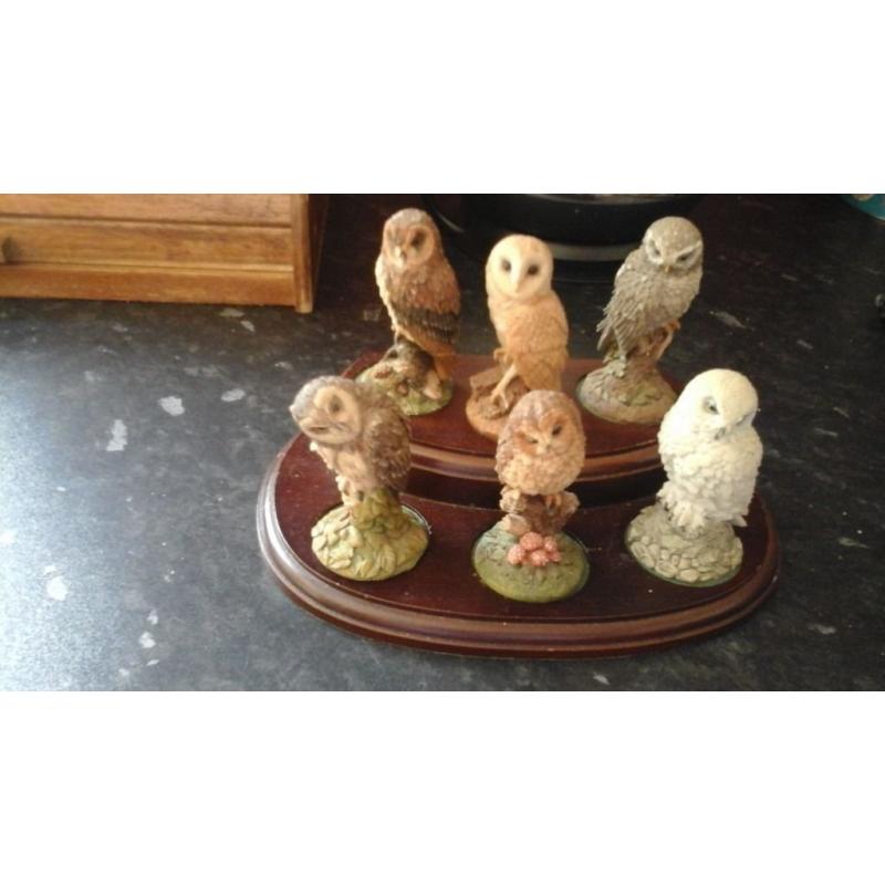 For sale we have a set of 6 smaal owls on stand they are royal doulton in excellent condition