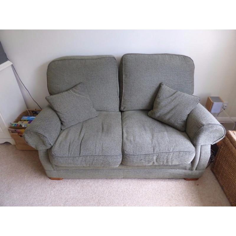 Pair of high quality Sofa Workshop sofas - 2 seat and 3 seat