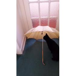 Old Vintage parasol or umbrella