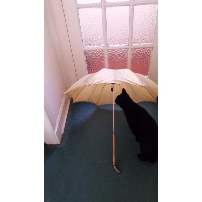 Old Vintage parasol or umbrella