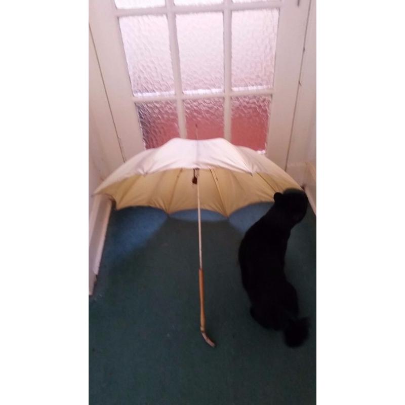 Old Vintage parasol or umbrella