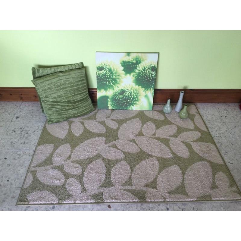 Brand new rug, 2 cushions , canvas and ornaments