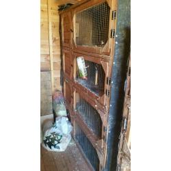 4 tier rabbit hutch