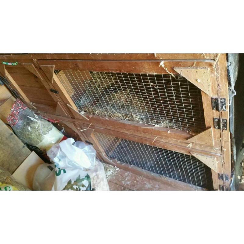 4 tier rabbit hutch