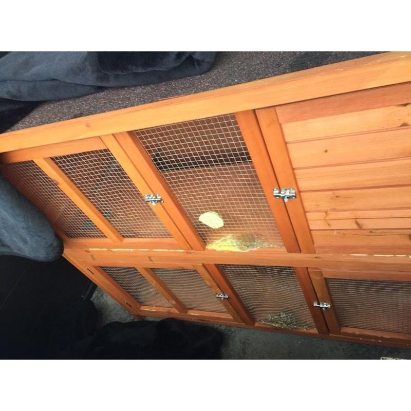 Twin outdoor rabbit hutch