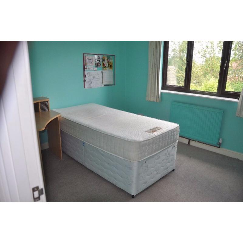 Single bed with pull out guest bed underneath