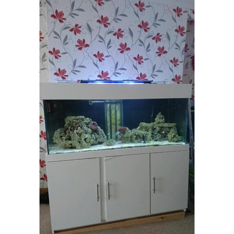 5ft marine tank set up