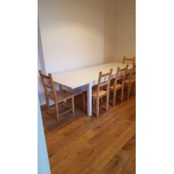 Extendable Dining Table with 10 Chairs