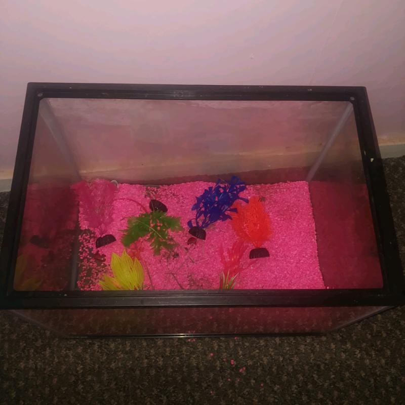 Fish tank